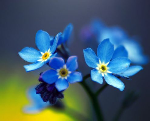 عکاسی مینیمال