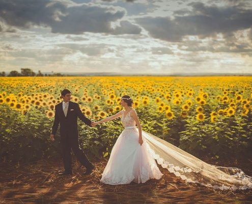عکس فرمالیته