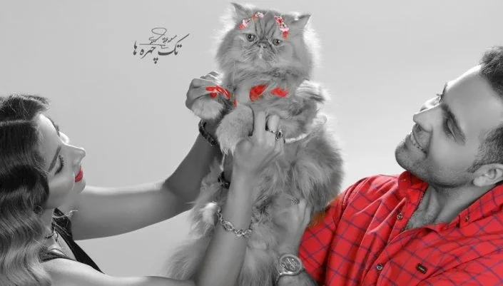 عکاسی حرفه ای از گربه در تهران