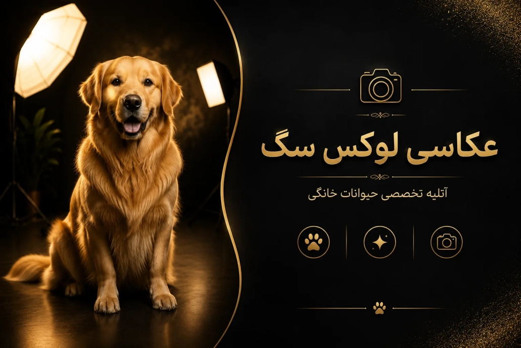 عکاسی از سگ در سعادت آباد