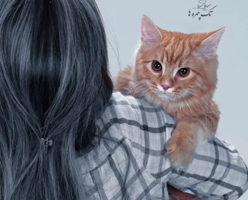 ginger_cat_shoulder عکاسی گربه در منزل