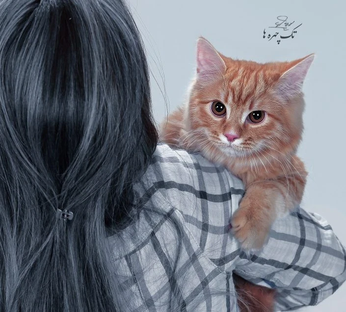 عکاسی گربه در منزل