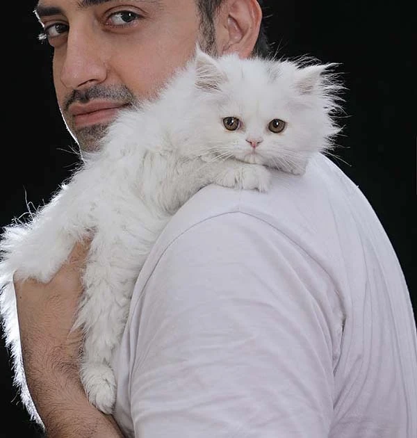 عکاسی بچه گربه